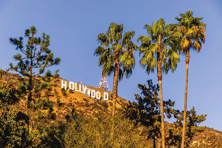 la-los-angeles-california-hollywood-hollywood-hills-hills.jpg