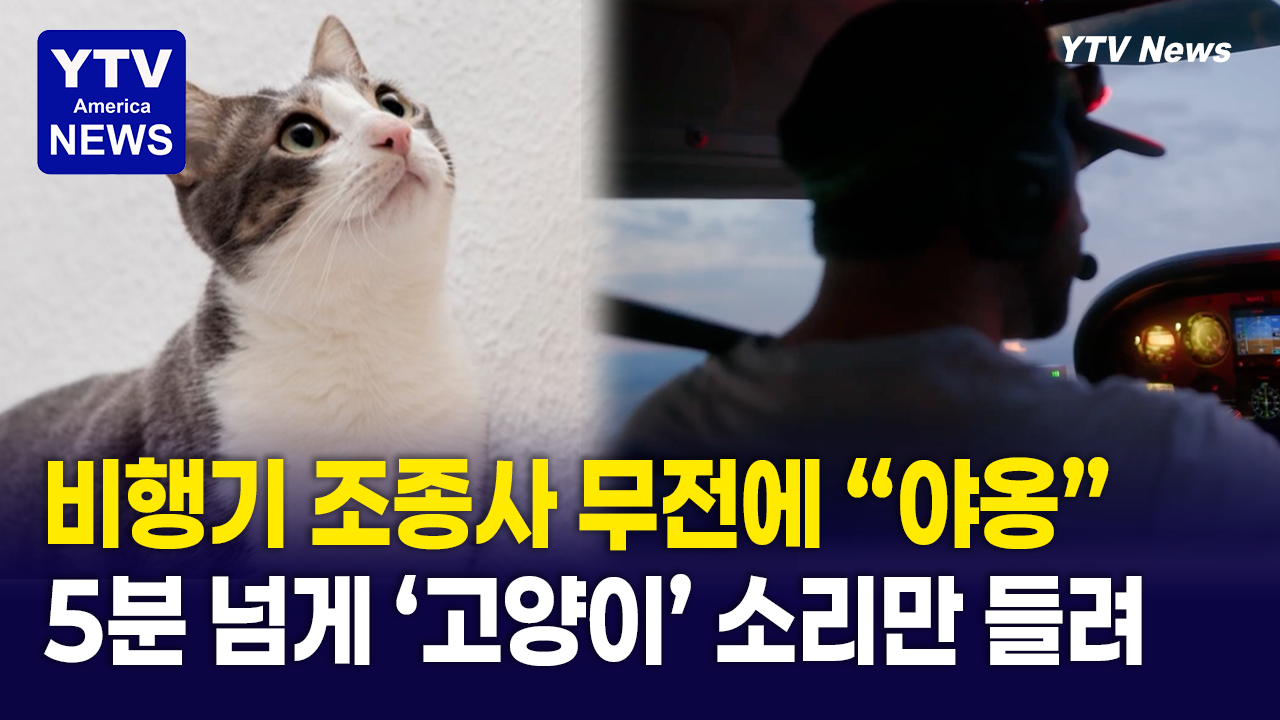 04172026-썸네일_고양이.png