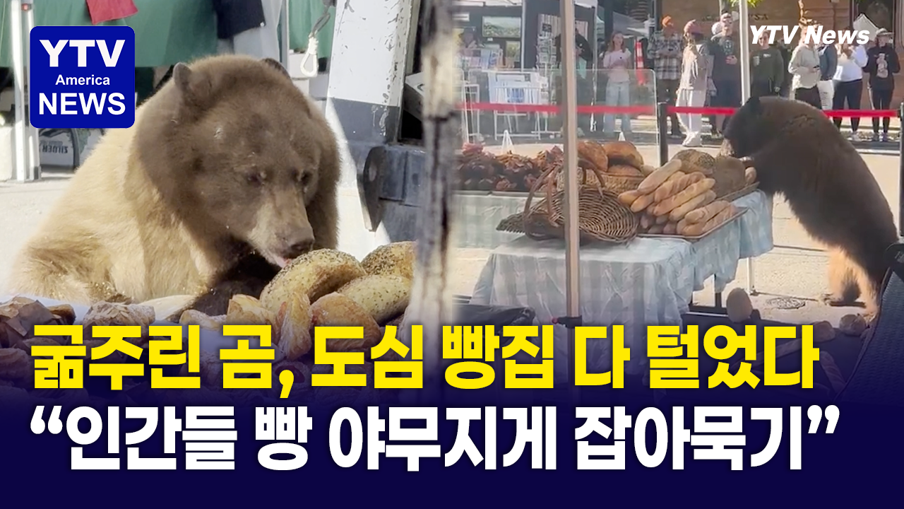 09292026-썸네일_곰.png