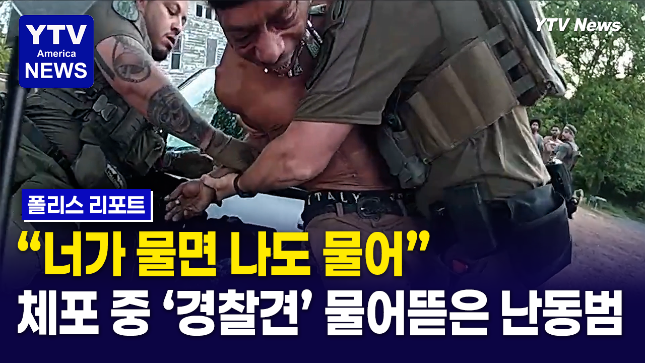 04282026 썸네일_개 물어뜨등ㅁ.png