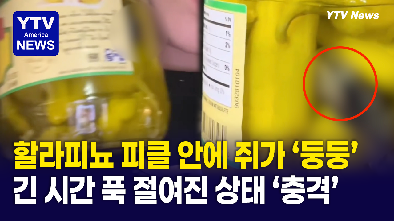 09302026-썸네일_쥐.png