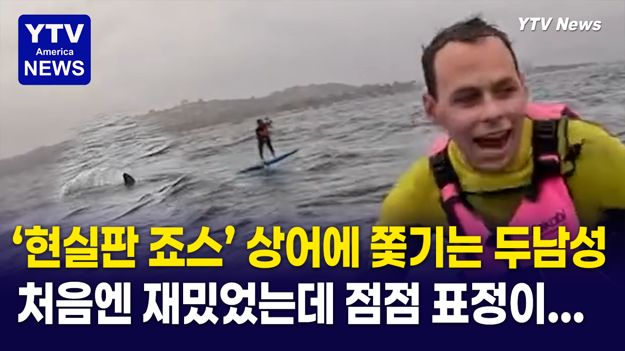 05012026 썸네일_상어.png