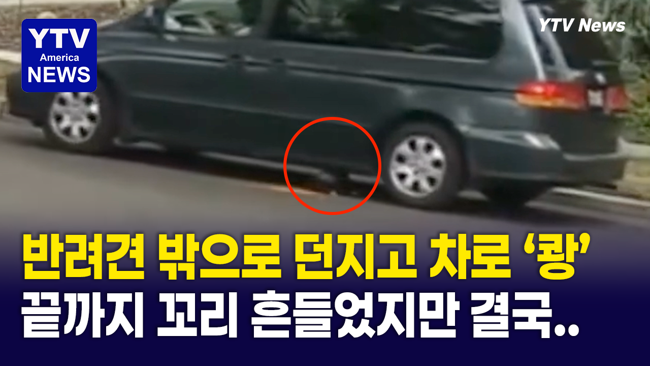 10022026-썸네일_반려견.png