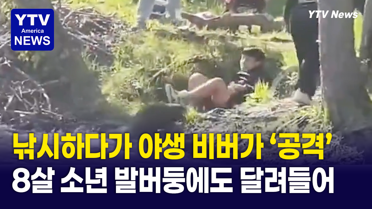 05082026-썸네일_비버.png
