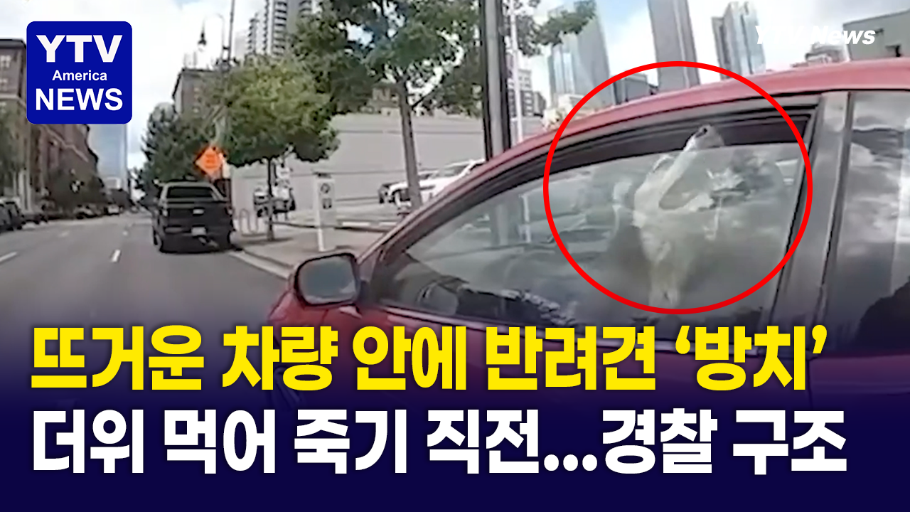 05082026-썸네일_반려견.png