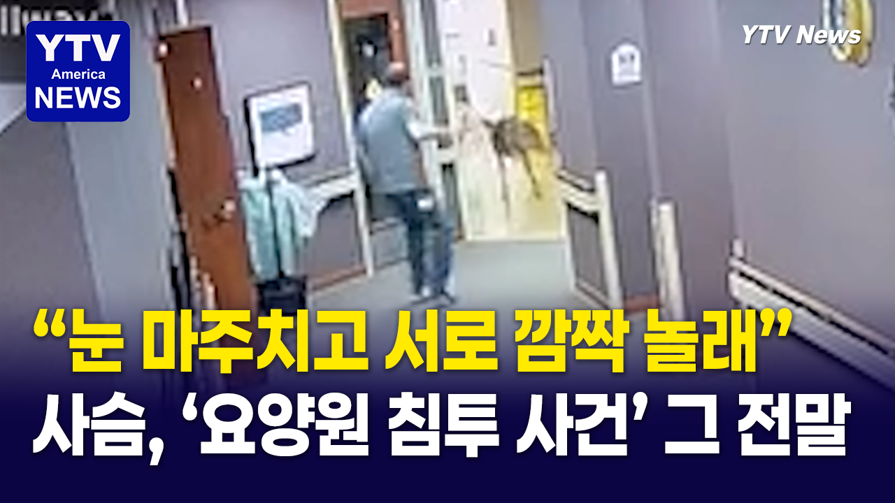 05092026 썸네일_사슴.png