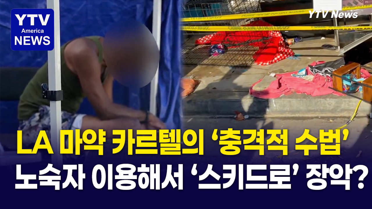 10102026-썸네일_스키드로-마약.png
