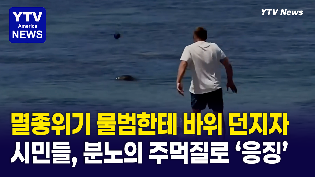 05122026-썸네일_물범.png