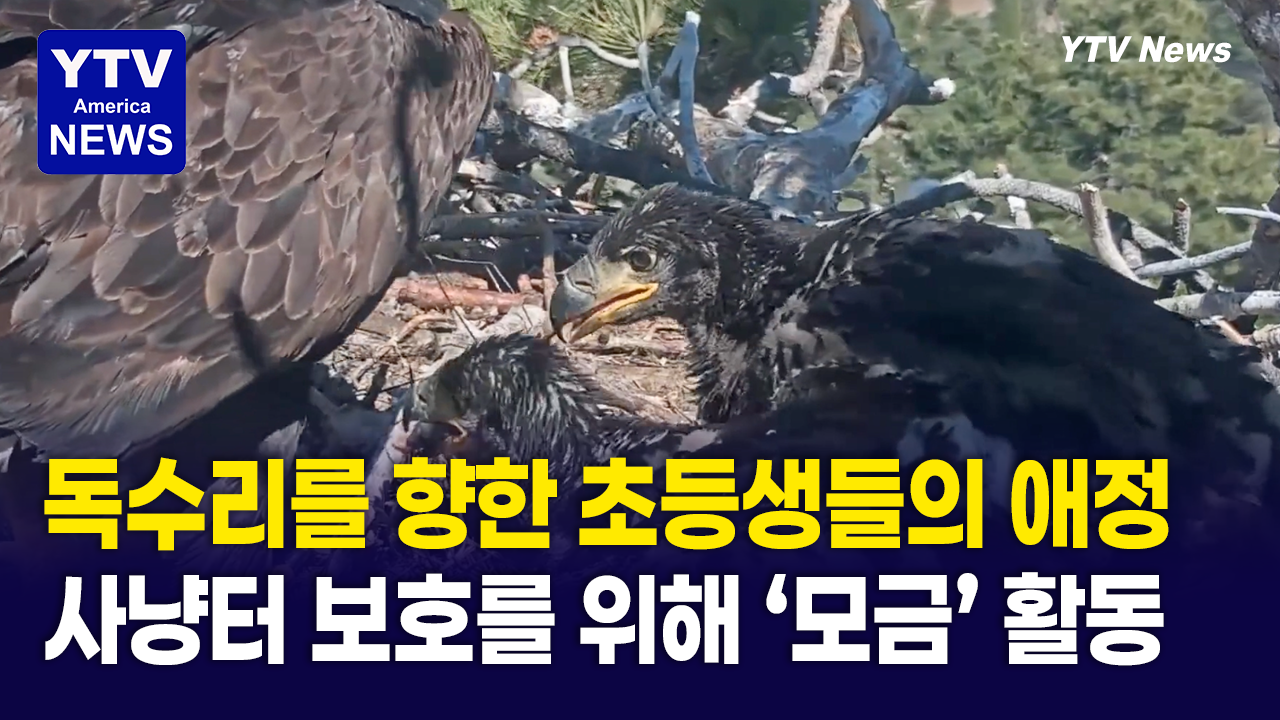 05162026-썸네일_독수리.png
