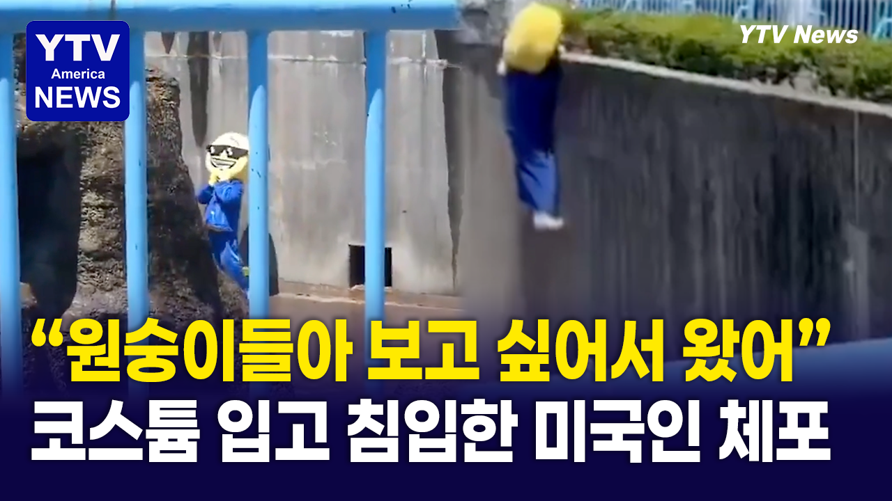 05202026-썸네일_원숭이.png