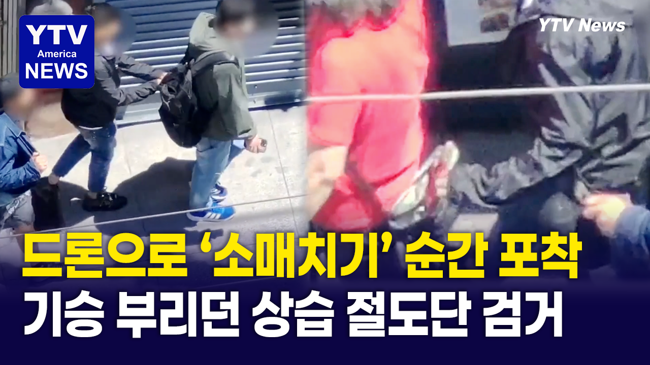 05202026-썸네일_절도단.png