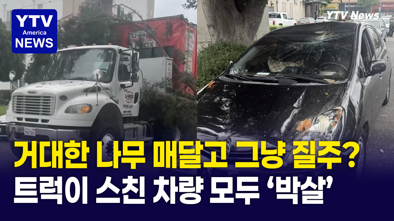 05282026-썸네일_나무.png