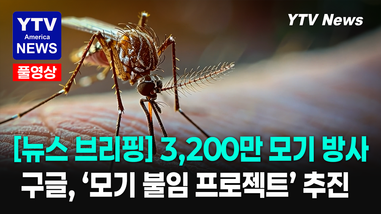 06022026 주요뉴스_모기 불임.png