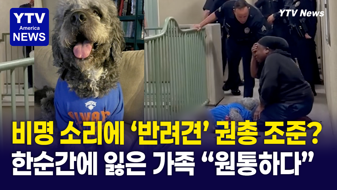 06162026-썸네일_가나디.png
