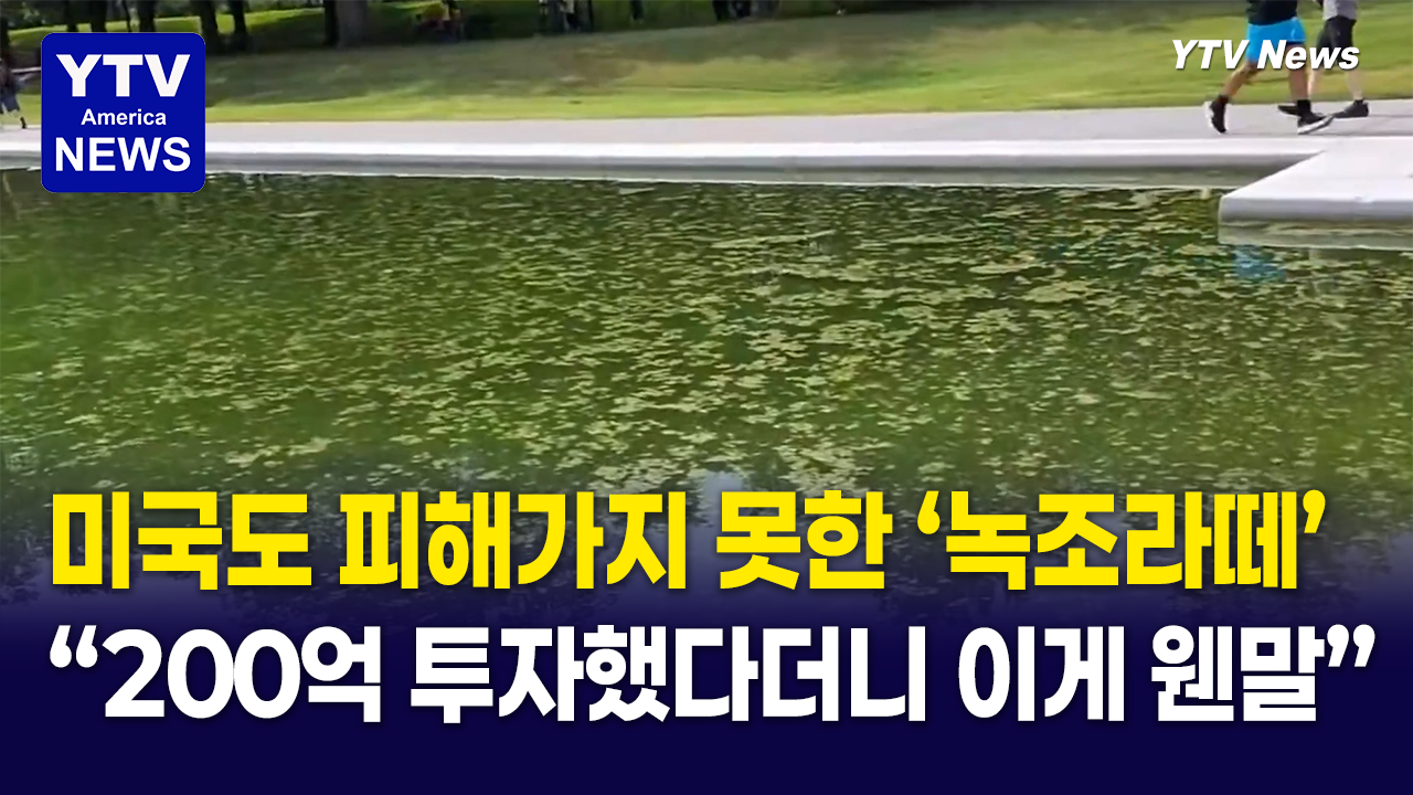 06182026 썸네일_연못.png