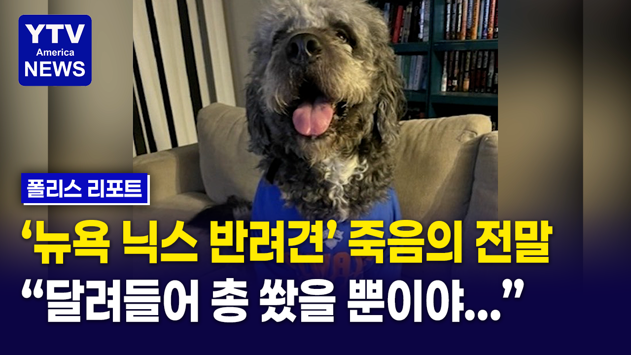 06232026 썸네일_반려견.png