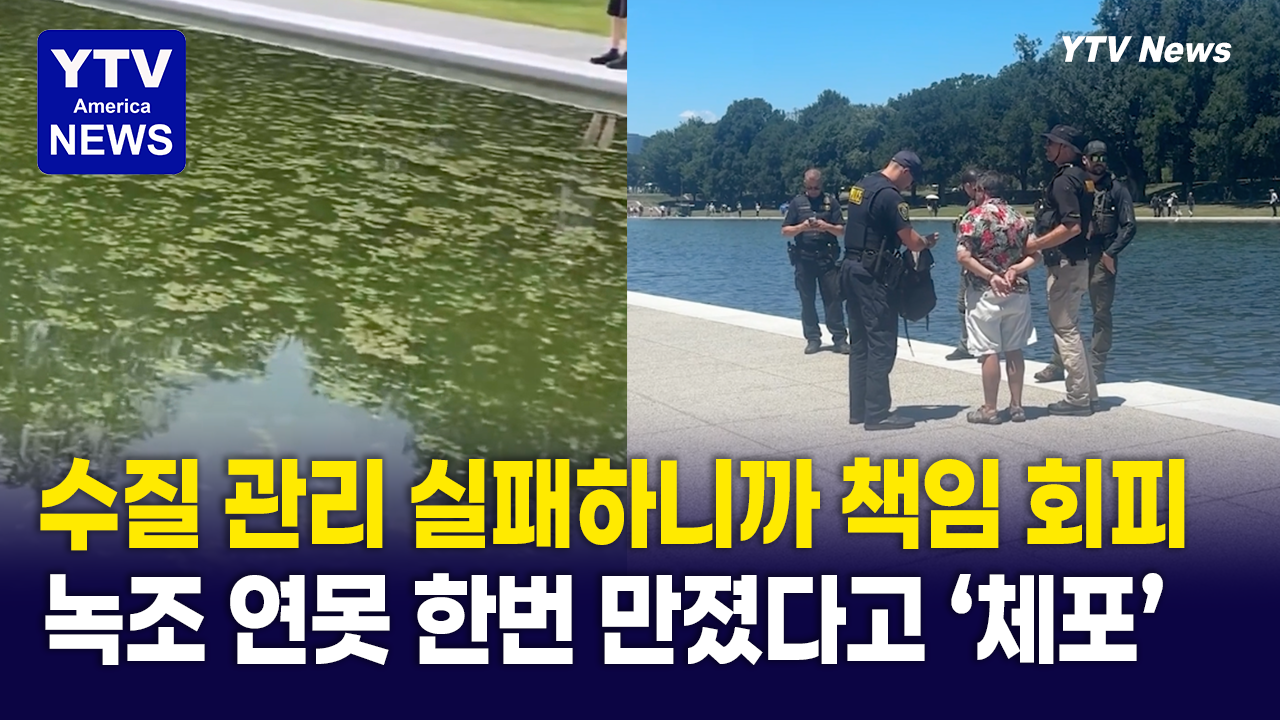 06252026-썸네일_연못.png