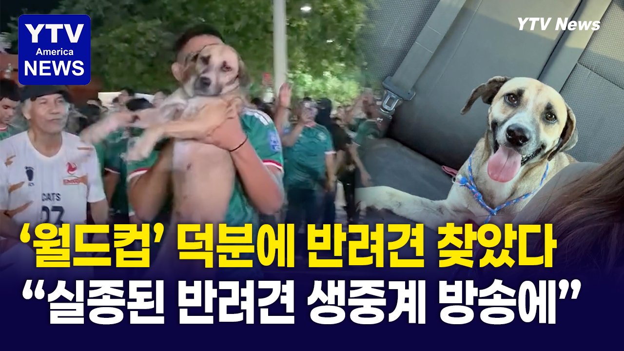 06272026-썸네일_반려견.png