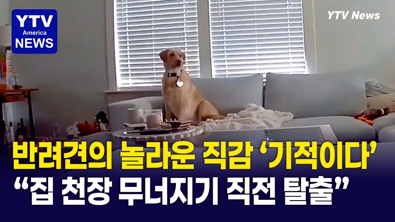 07022026-썸네일_천장.png