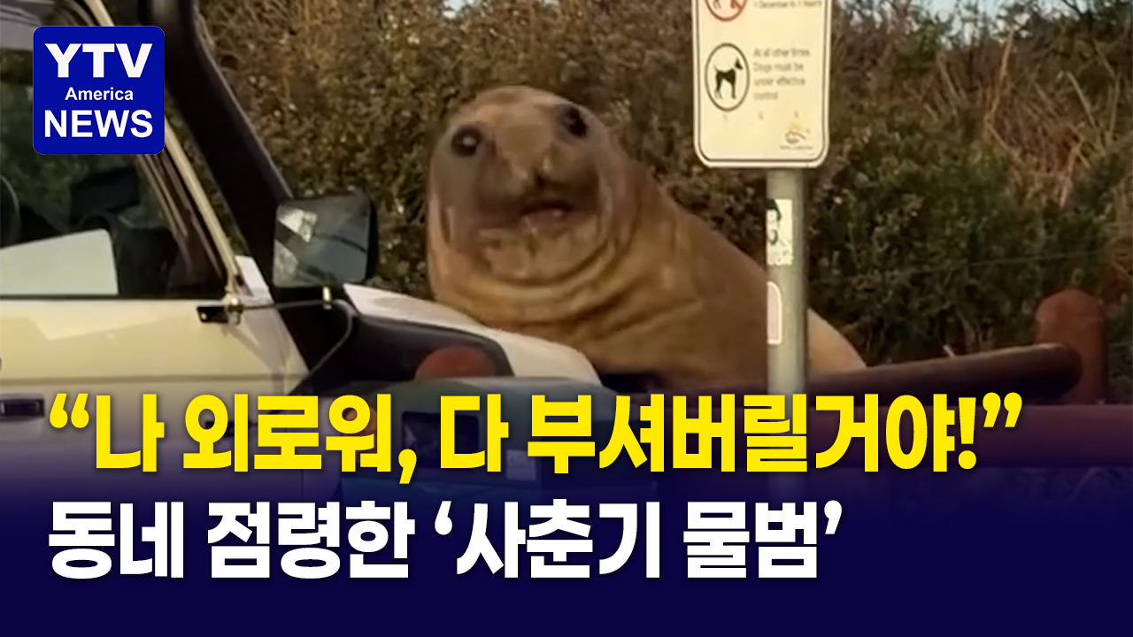 07032026 썸네일_물범.png
