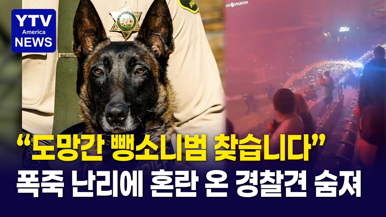 07082026 썸네일_경찰견.png