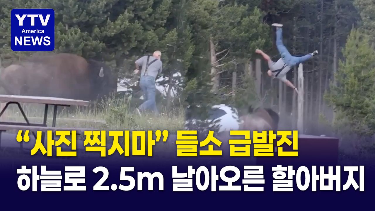 07142026-썸네일_들소.png