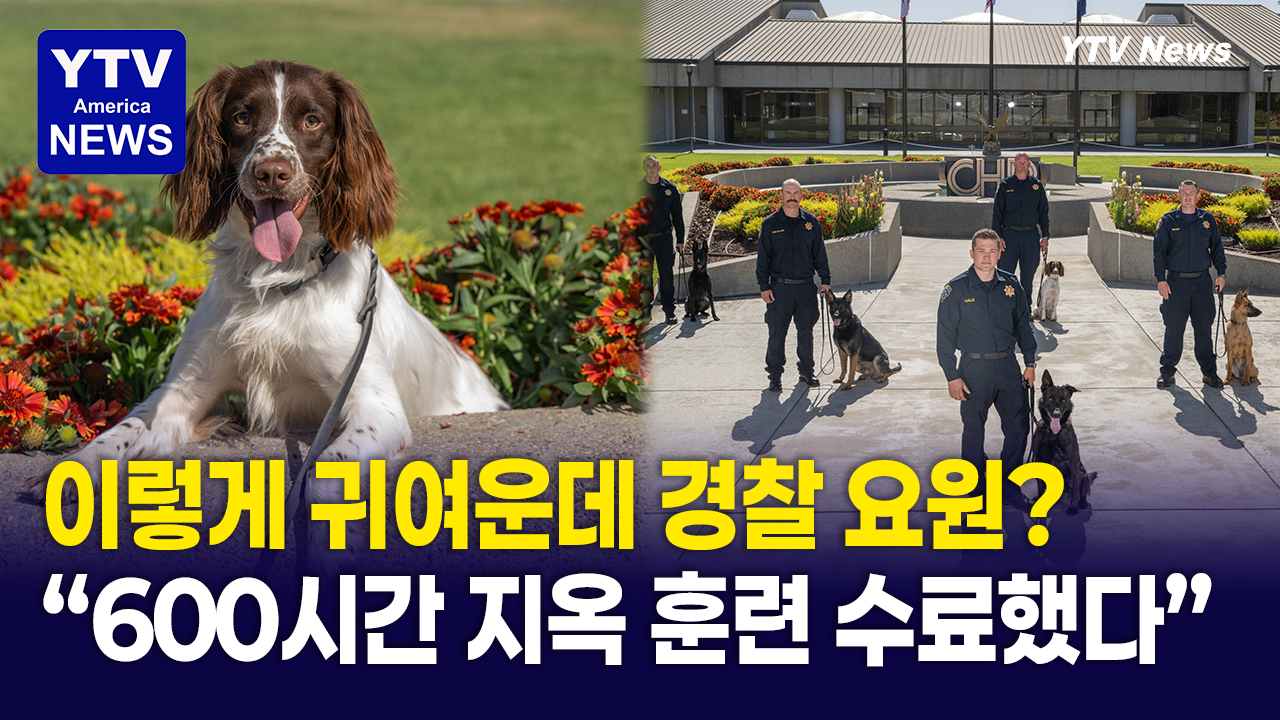 07152026-썸네일_경찰멍멍.png