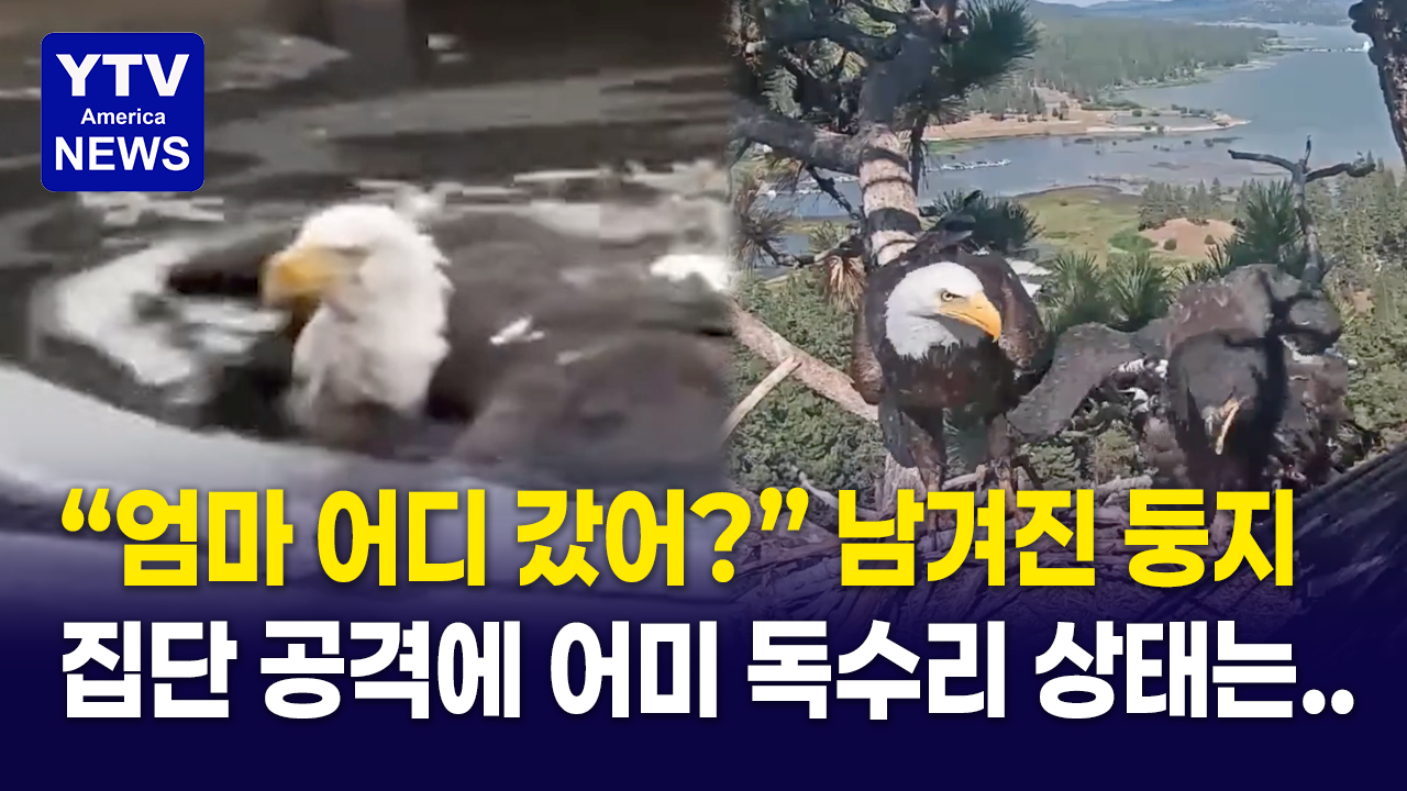 07212026-썸네일_재키-구조.png