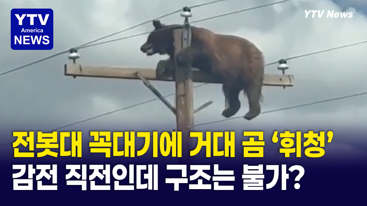 07242026-썸네일_거대곰.png