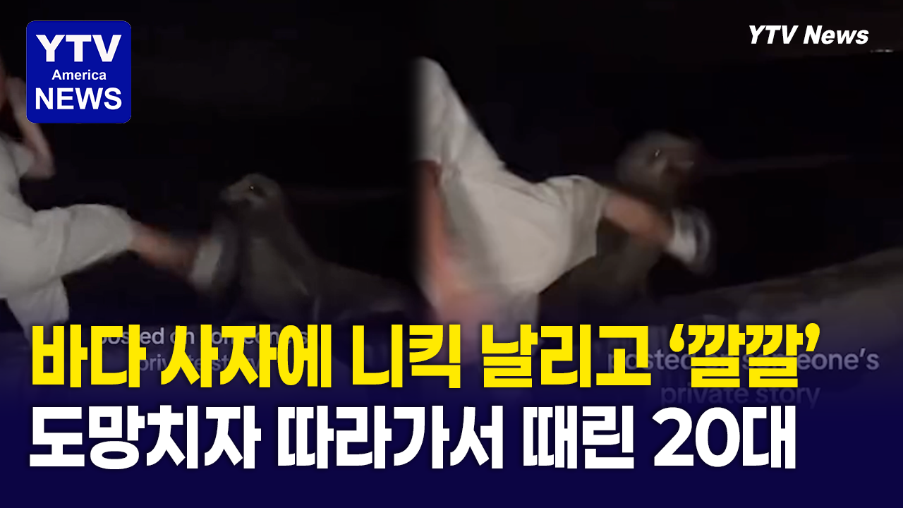 07282026-썸네일_바다사자.png