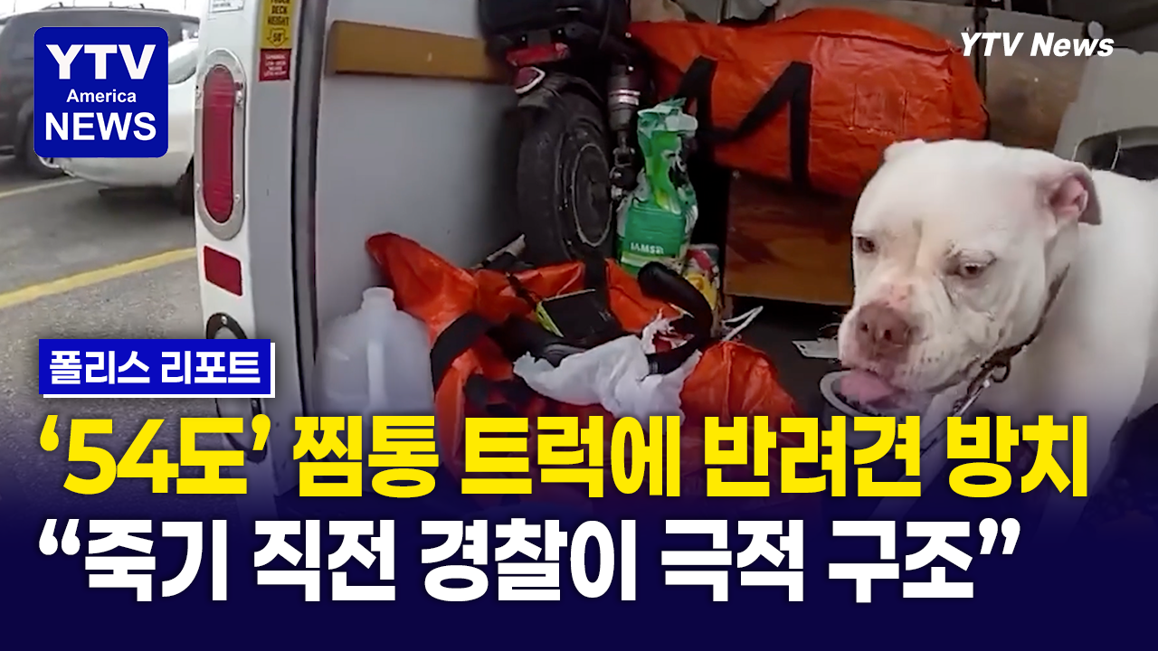 08012026-썸네일_반려견.png