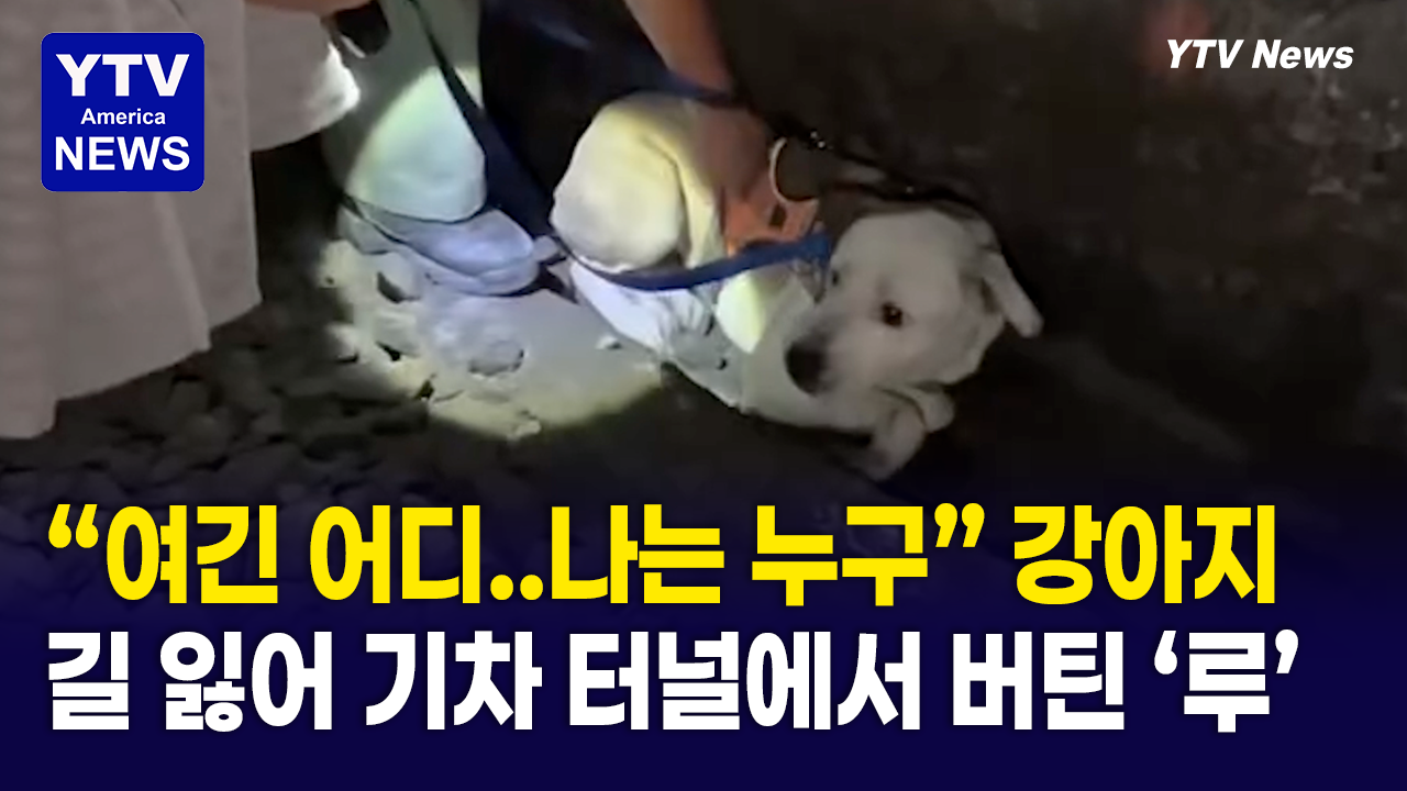 08012026-썸네일_가나디.png