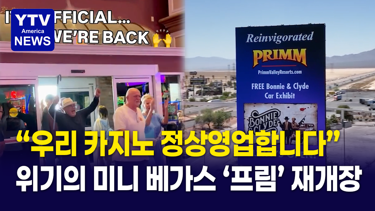 08022026-썸네일_미니-베가스-프림.png