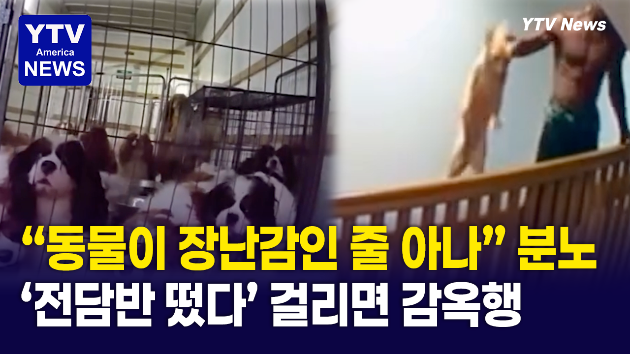 08132026-썸네일_동물.png