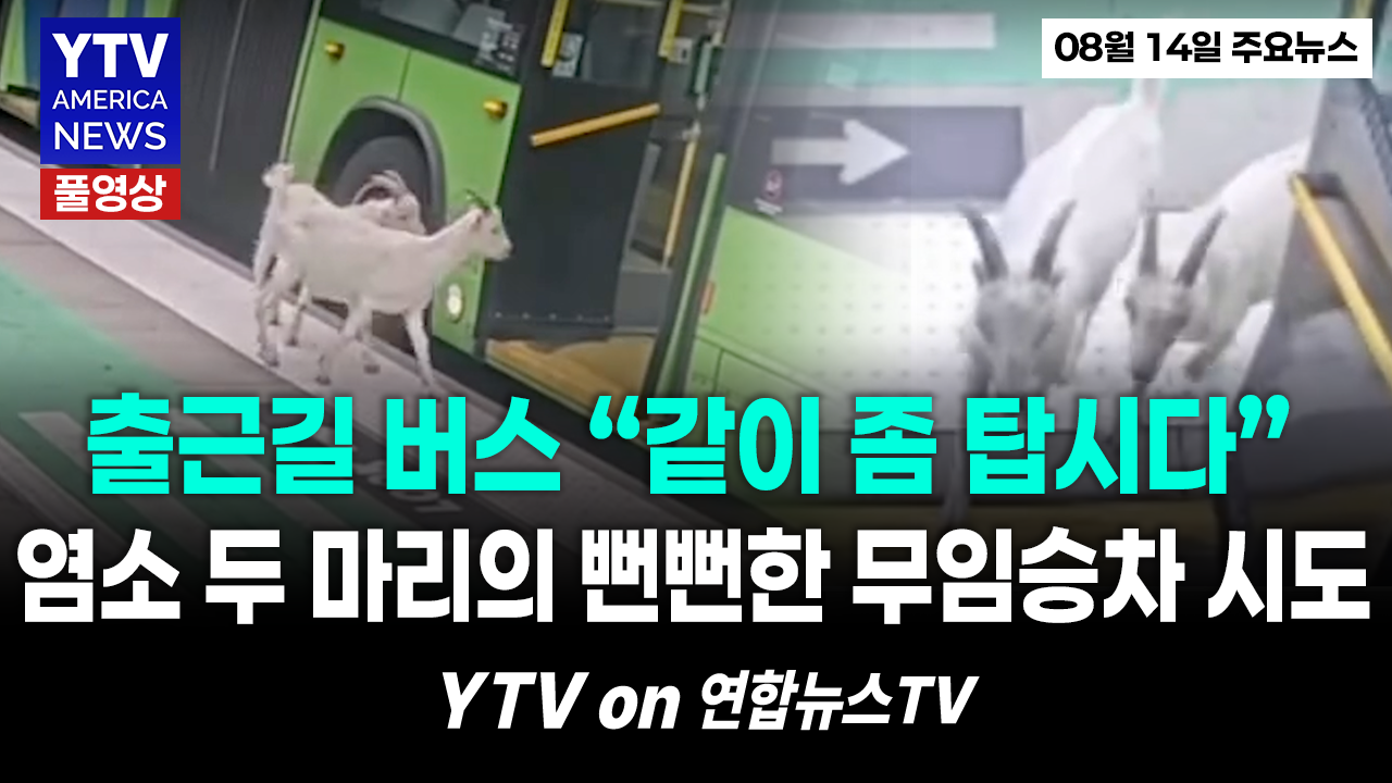 08142026-썸네일_주요뉴스_신버전.png