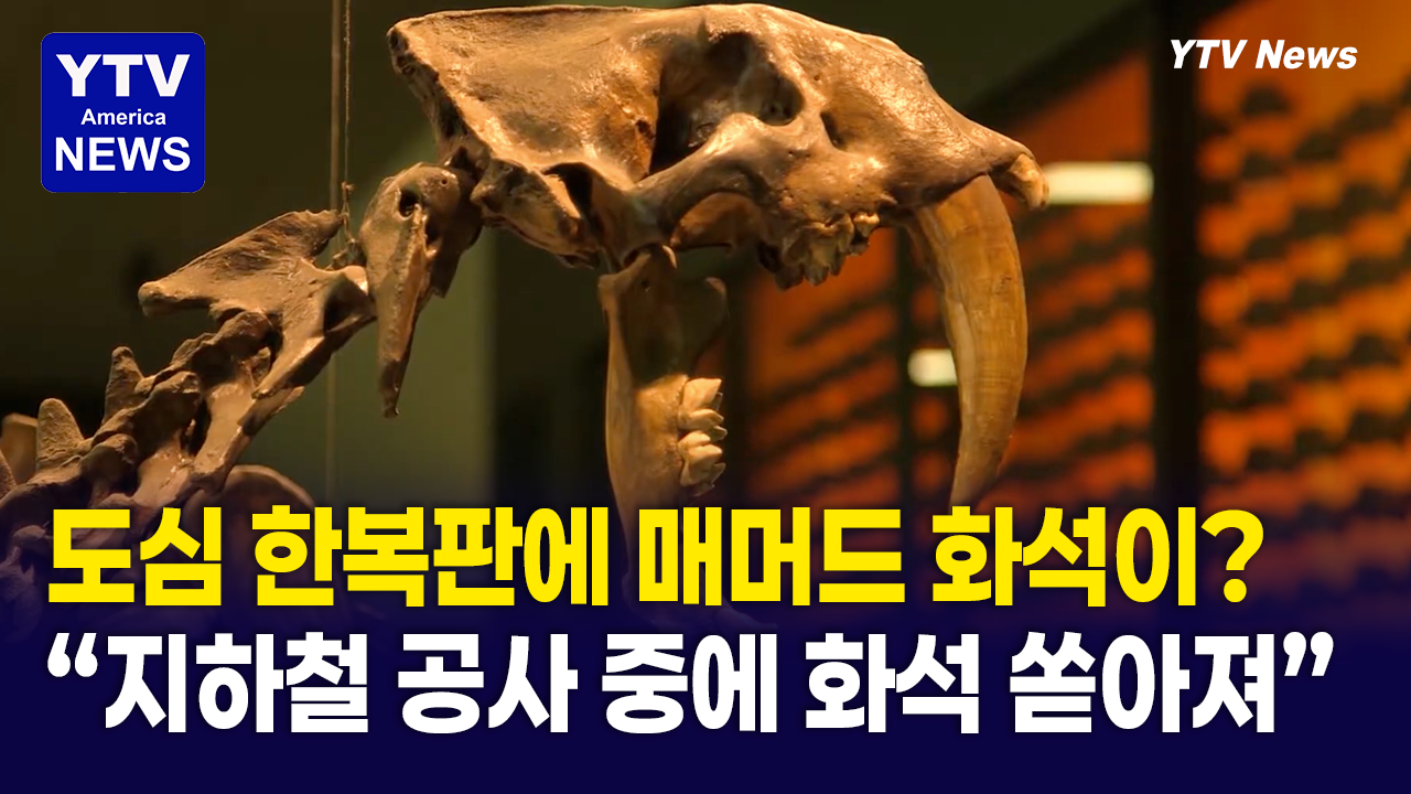 08172026-썸네일_매머드.png