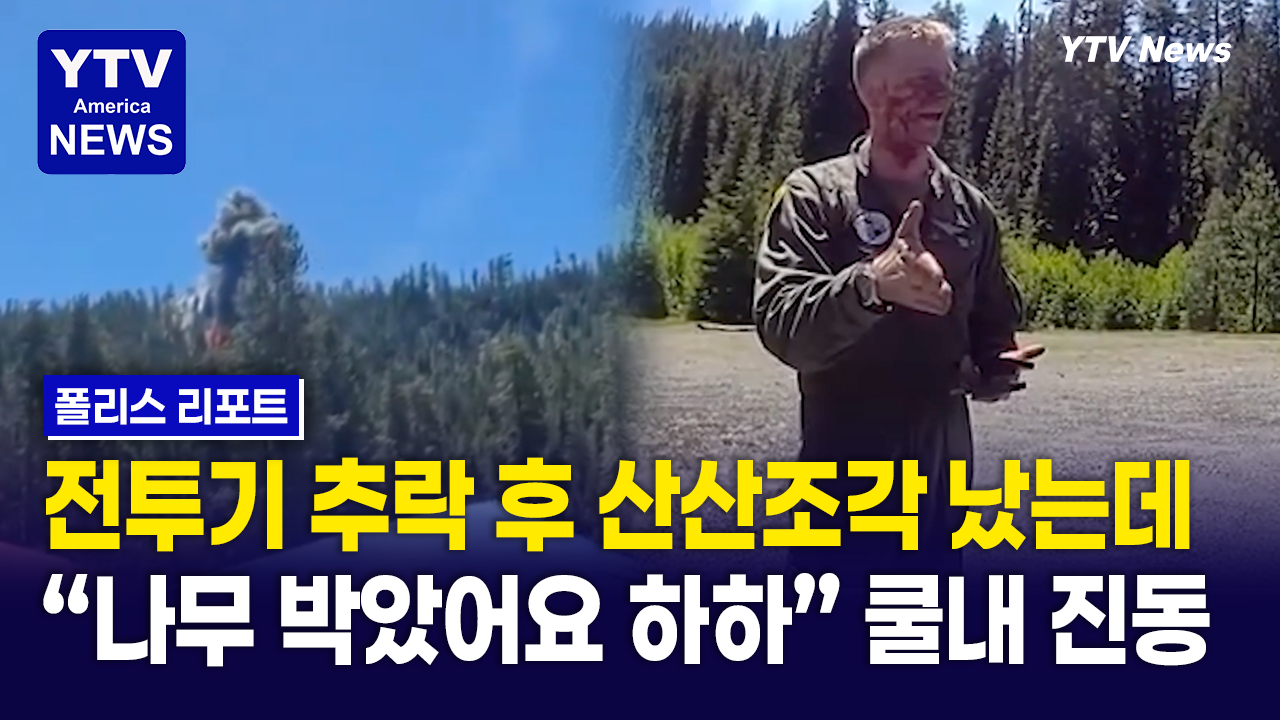 08202026-썸네일_나무.png