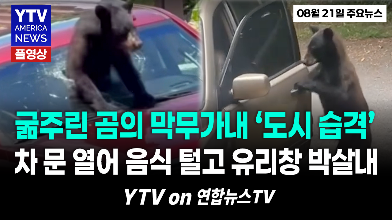 08212026-썸네일_주요뉴스_신버전.png