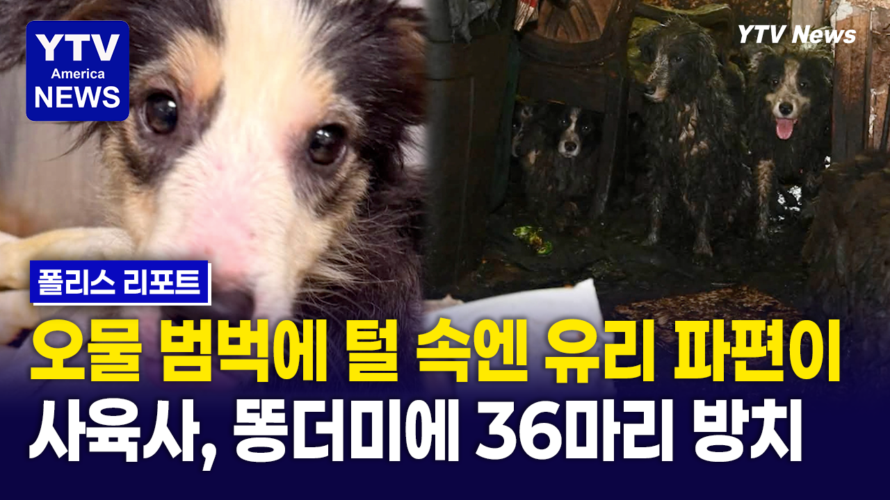 08212026-썸네일_똥.png