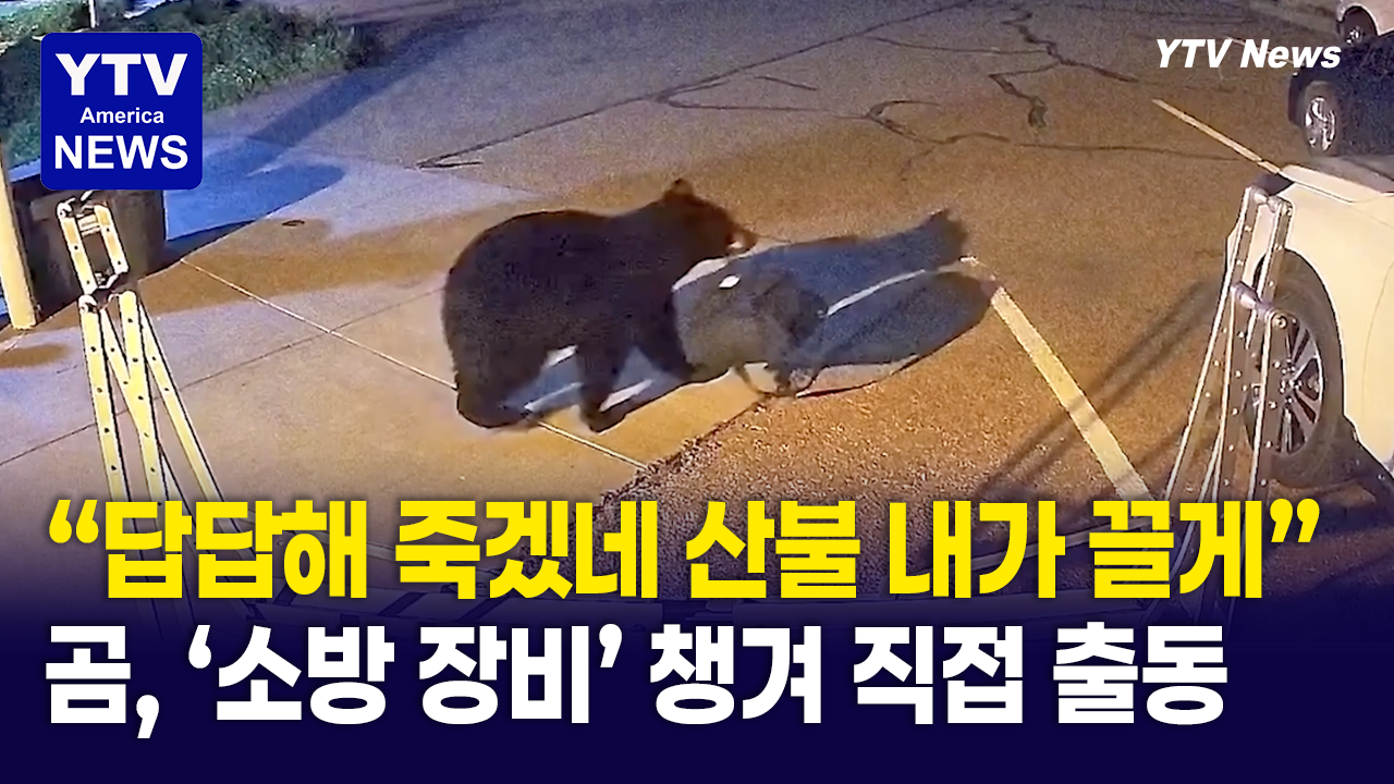08252026-썸네일_곰.png