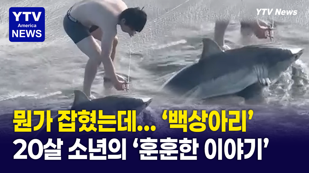 04042026 썸네일_백상아리.png