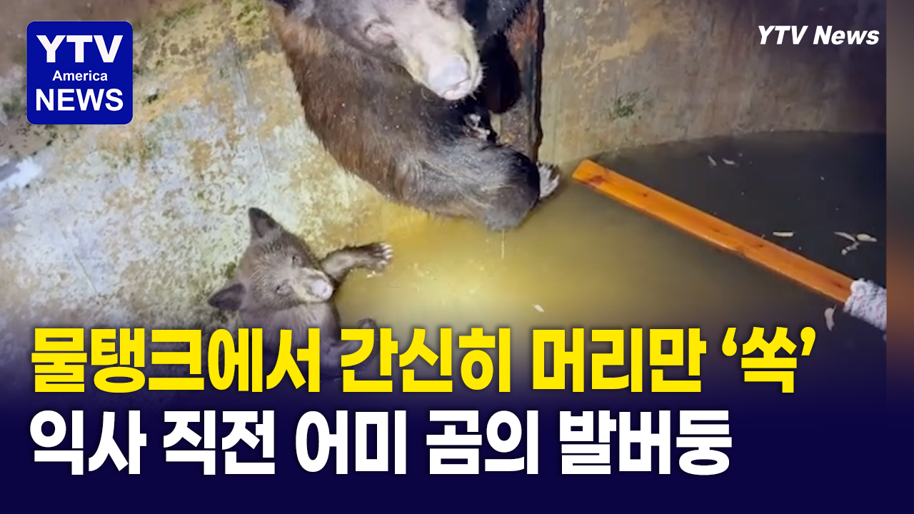 09012026-썸네일_어미곰.png