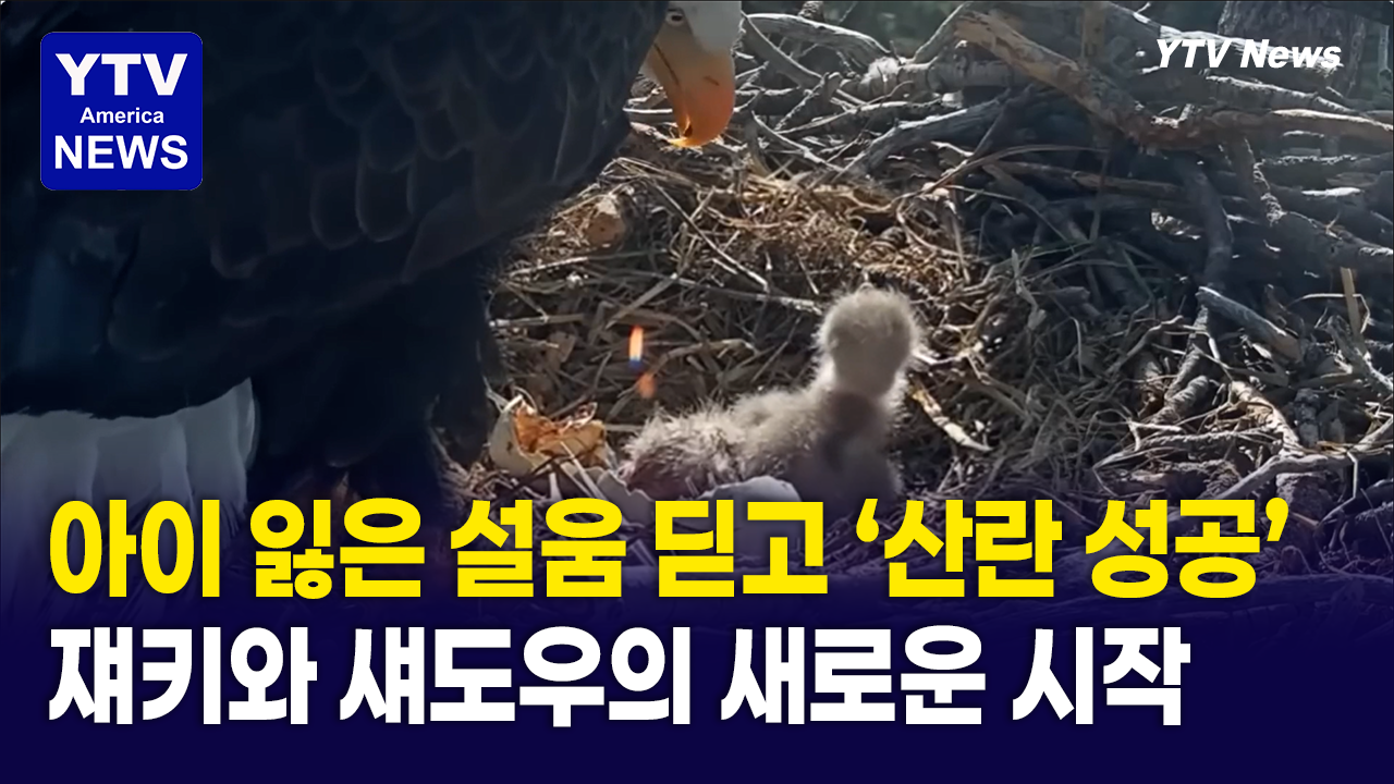 04072026 썸네일_독수리.png