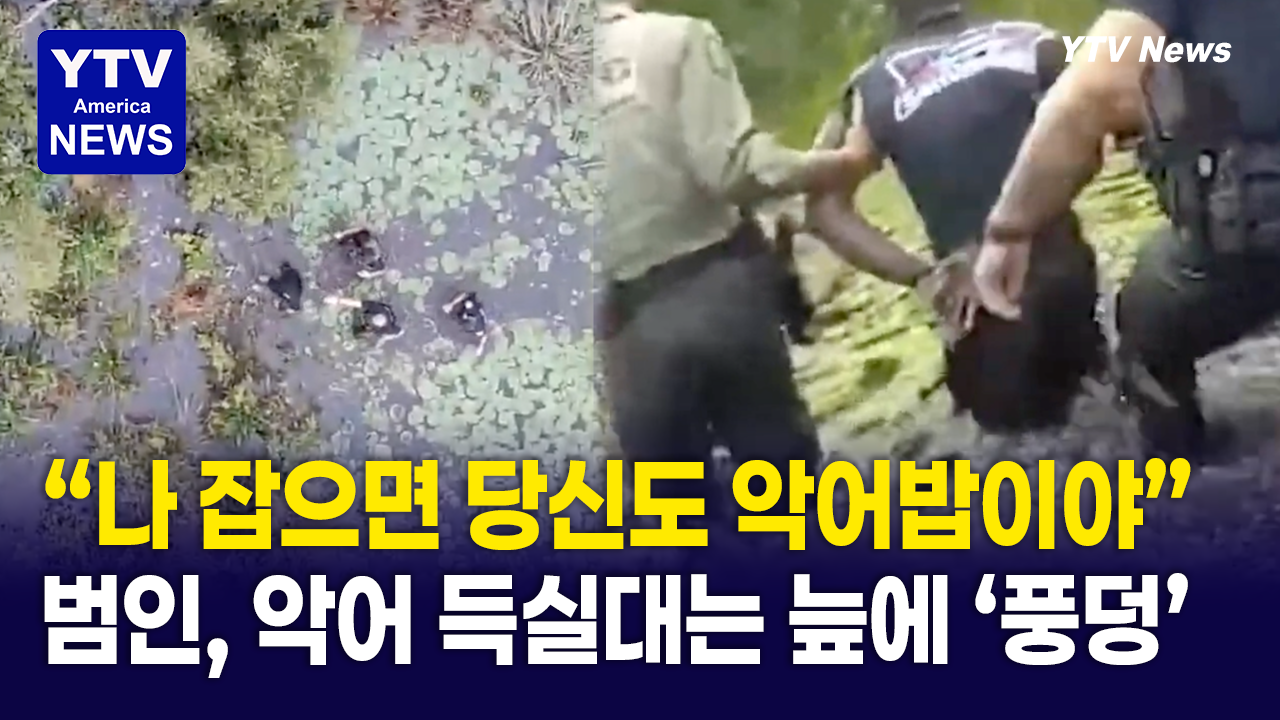 09042026-썸네일_악어밥.png