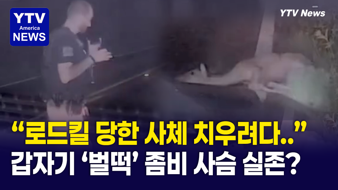 09052026-썸네일_사슴.png