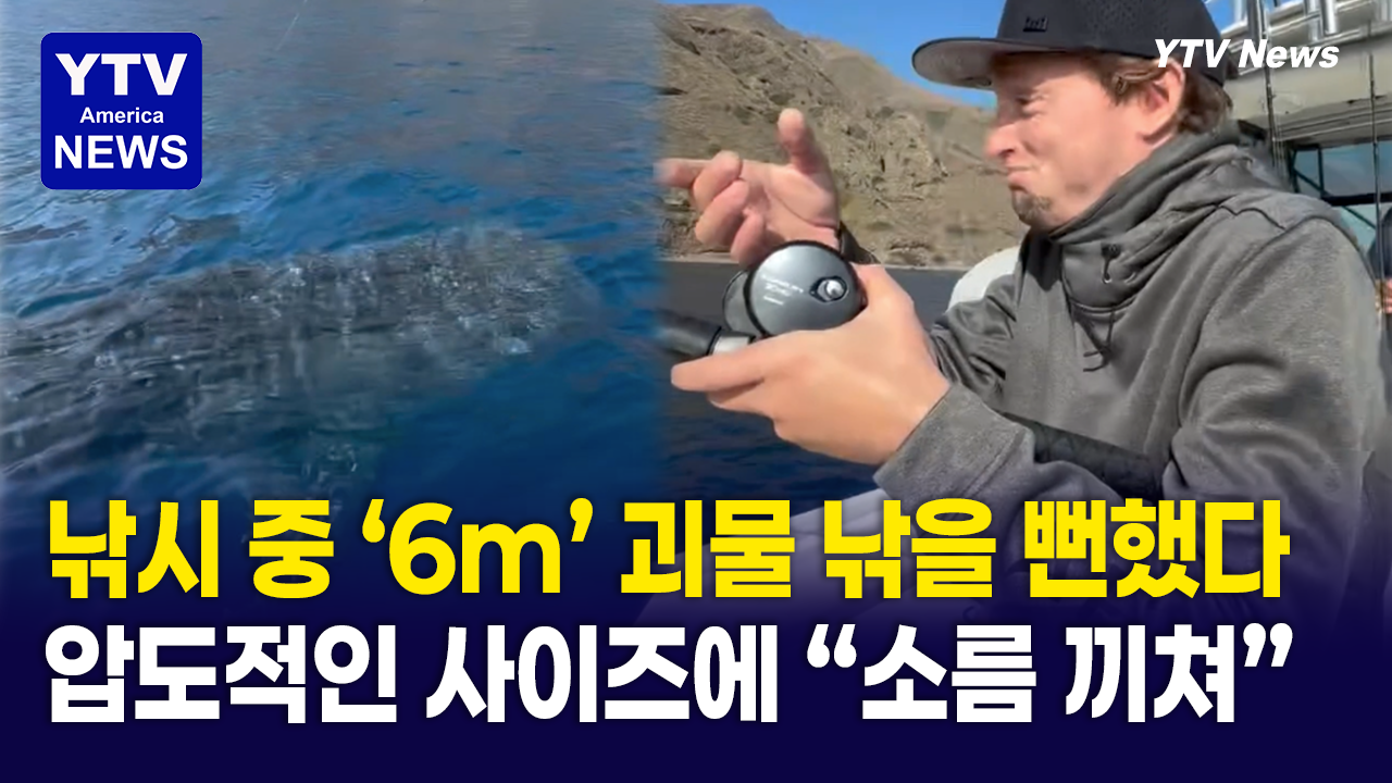 09172026-썸네일_고래.png