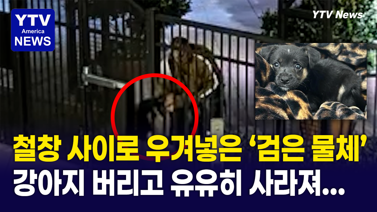 04152026 썸네일_강아지.png