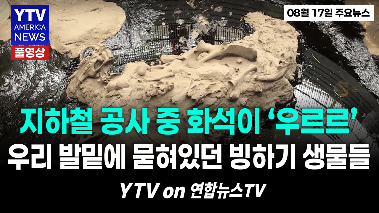 썸네일_주요뉴스_신버전.png