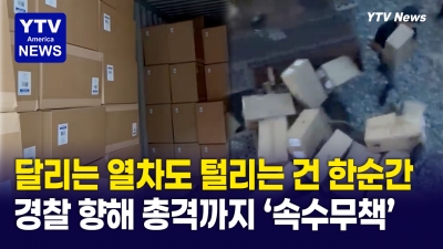 "열차도 전문적으로 턴다"...대낮에 달리는 열차에도 개의치 않고 범행