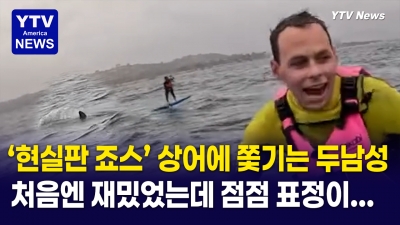 '현실판 죠스' ... 보드타는 중 따라붙는 상어에 혼비백산